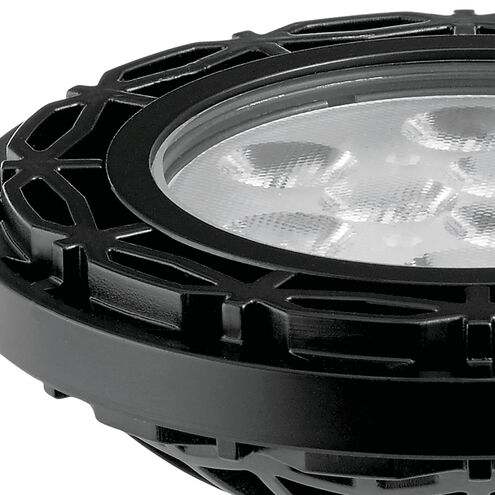 Landscape Led 12 10.00 watt Black Landscape 12V Led Lamps