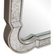 Artemis 72 X 30 inch Champagne Dressing Mirror