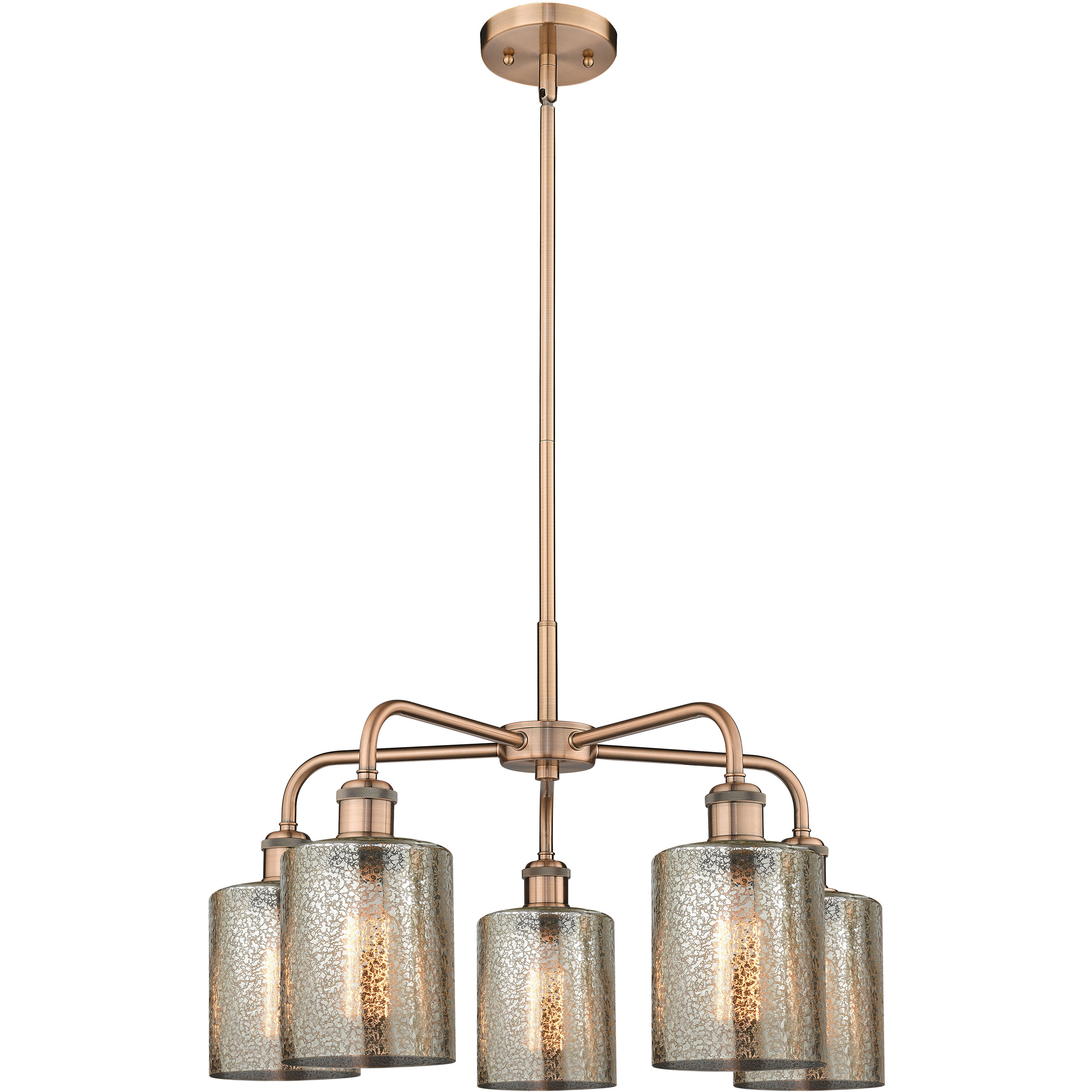 Cobbleskill 5 Light 23 inch Antique Copper Chandelier Ceiling Light in Mercury Glass