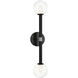 Stellar Wall Sconce Wall Light in Black and Clear