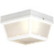 Wavy 2 Light 10 inch White Outdoor Flush Mount