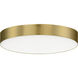 Trim LED 5 inch Satin Brass Flush Mount Ceiling Light