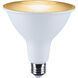 Starfish LED PAR38 E26 15.00 watt 2700K-5000K LED Bulb