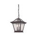 Aiken 2 Light 9.00 inch Outdoor Pendant/Chandelier