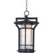 Oakville LED E26 LED 12 inch Black Oxide Outdoor Hanging Lantern
