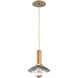 Cirrus LED 14 inch Novel Brass Pendant Ceiling Light in Smoke Granite, Large