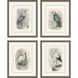 Animals Collection Gray Framed Art