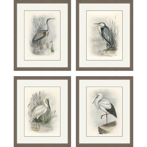 Animals Collection Gray Framed Art