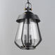 Mariner 2 Light 9.75 inch Black with Antique Brass Outdoor Pendant, Large