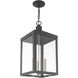 Nyack 3 Light 10.5 inch Scandinavian Gray Outdoor Pendant Lantern