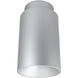 iLENE Surface Mount Mini Cylinder Ceiling Light in Comfort Dim, Silver, 1800