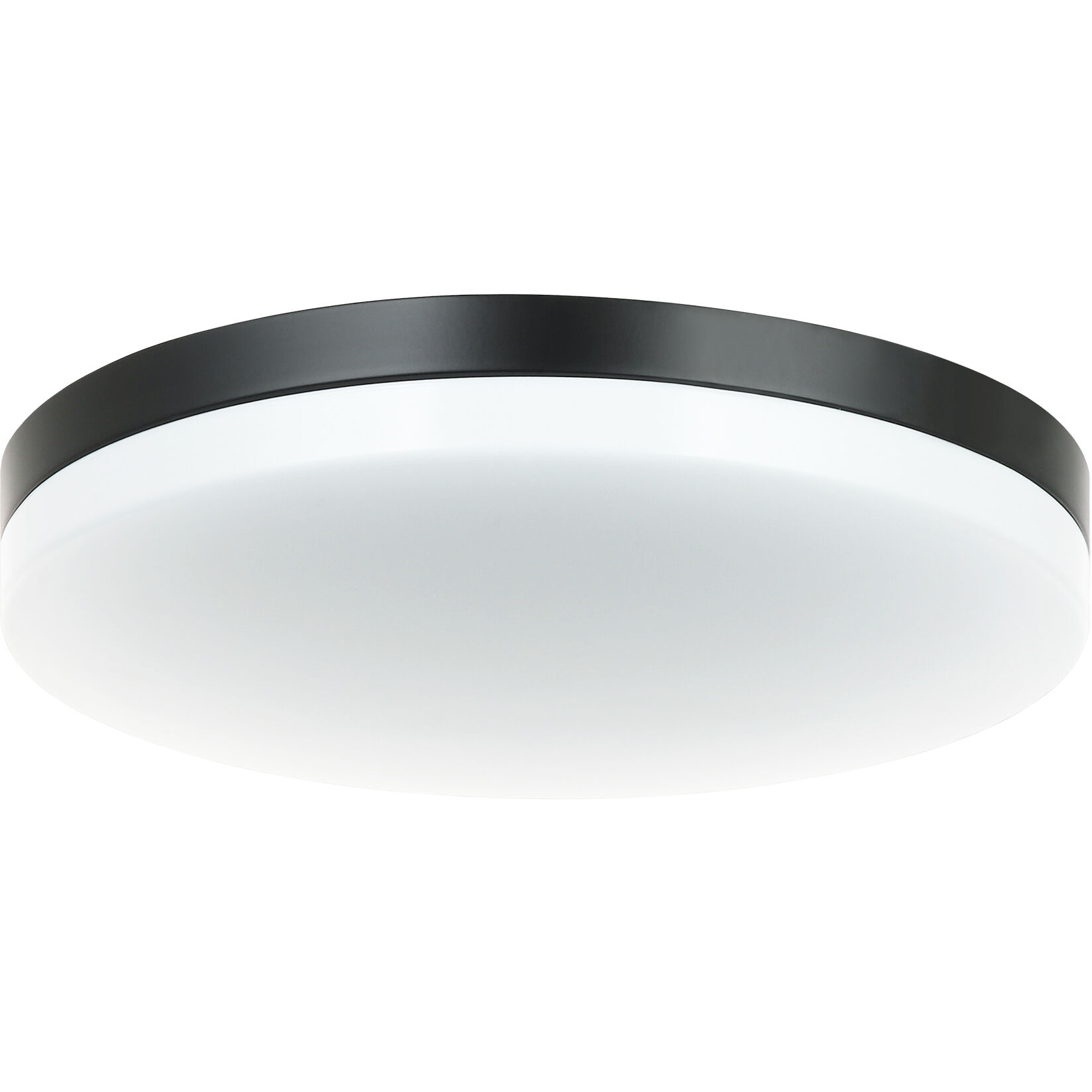 Orion LED 11 inch Black Flush Mount Ceiling Light