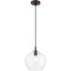 Aldrich 1 Light 10 inch Bronze with Antique Brass Accent Pendant Ceiling Light
