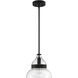 Smyth 1 Light 10.50 inch Mini Pendant