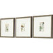 Antique Botanical Green and Beige and Multi and Neutral Framed Art
