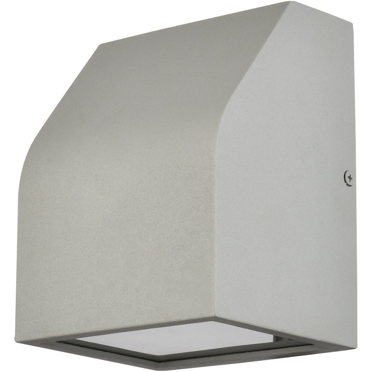 Raine 6 inch Silver Outdoor Wall Light