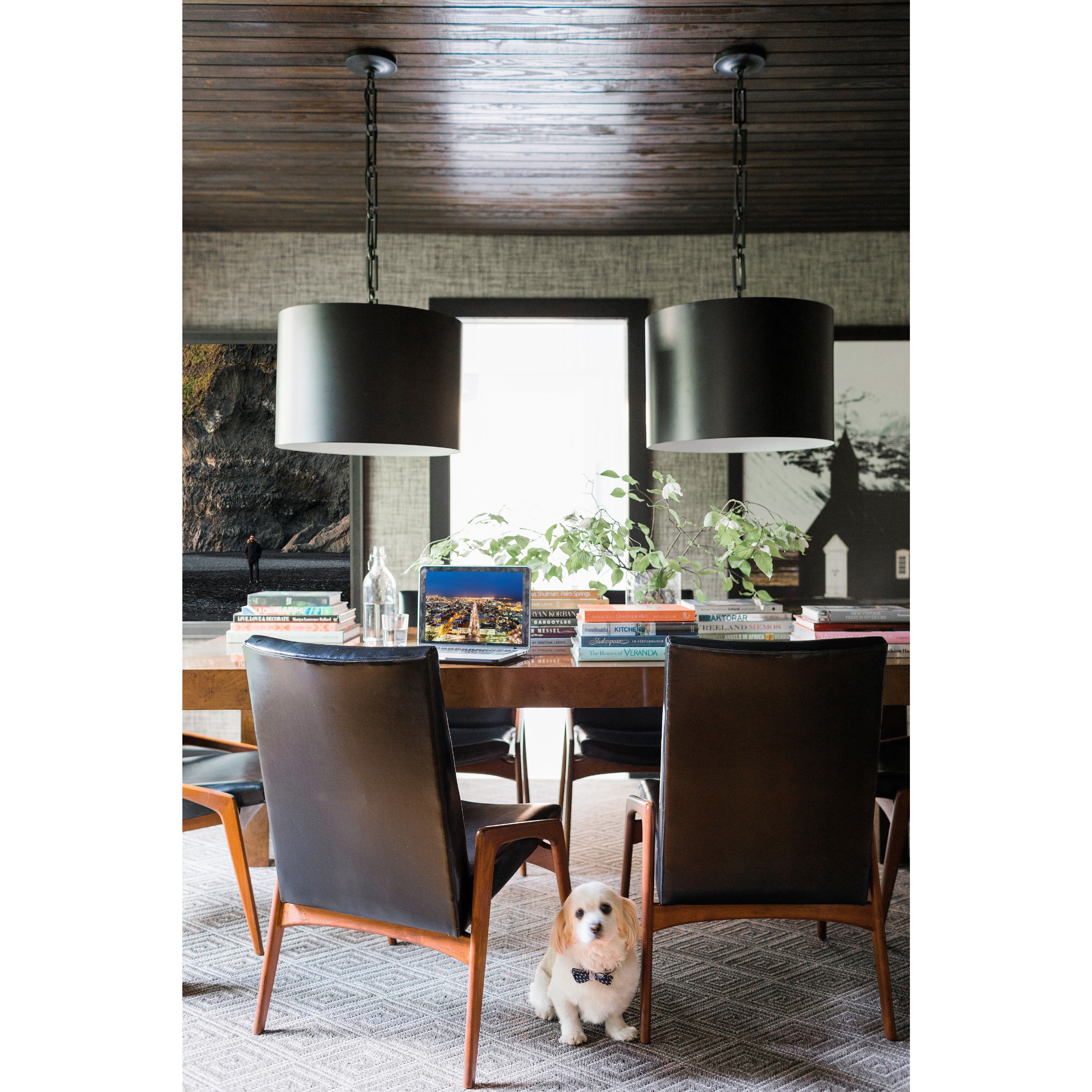 Alston Pendant Ceiling Light in Matte Black with White
