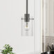 Munich 1 Light 5 inch Black Chrome Single Pendant Ceiling Light, Single