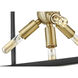 Lisa McDennon Aros 7 Light 13 inch Black with Warm Brass Indoor Pendant Ceiling Light, Convertible to Semi-Flush