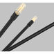 C&M by Chapman & Myers Eastyn 12 Light 36.88 inch Midnight Black Chandelier Ceiling Light