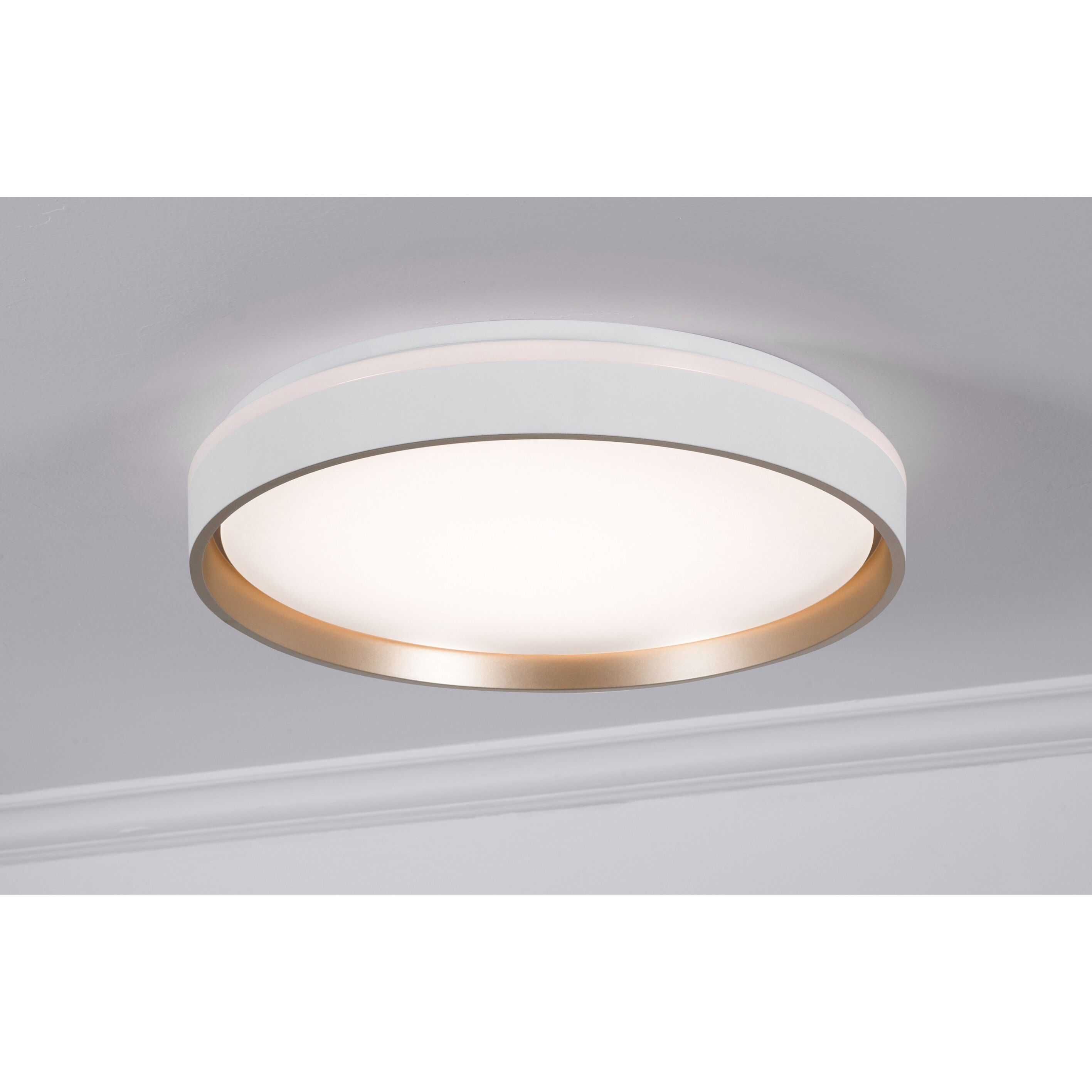 Rana LED 15.5 inch White Flush Mount Ceiling Light in 16 in