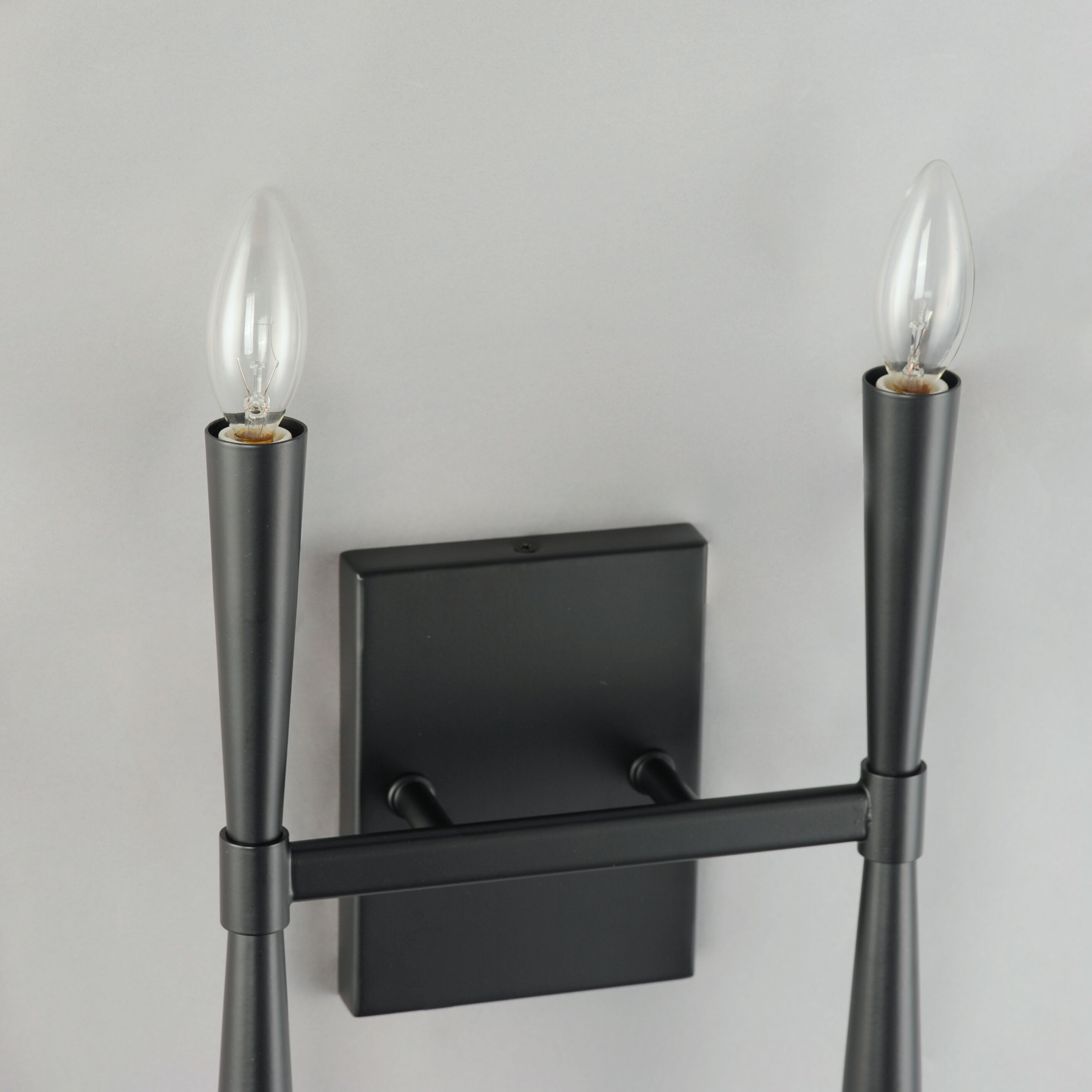 Rome Wall Sconce Wall Light in Black