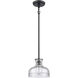 Orinoco 1 Light 8 inch Matte Black Mini Pendant Ceiling Light