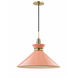 Kiki 1 Light 18 inch Aged Brass Pendant Ceiling Light in Pink Metal