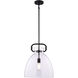 Madrona 1 Light 14 inch Black Pendant Light Ceiling Light