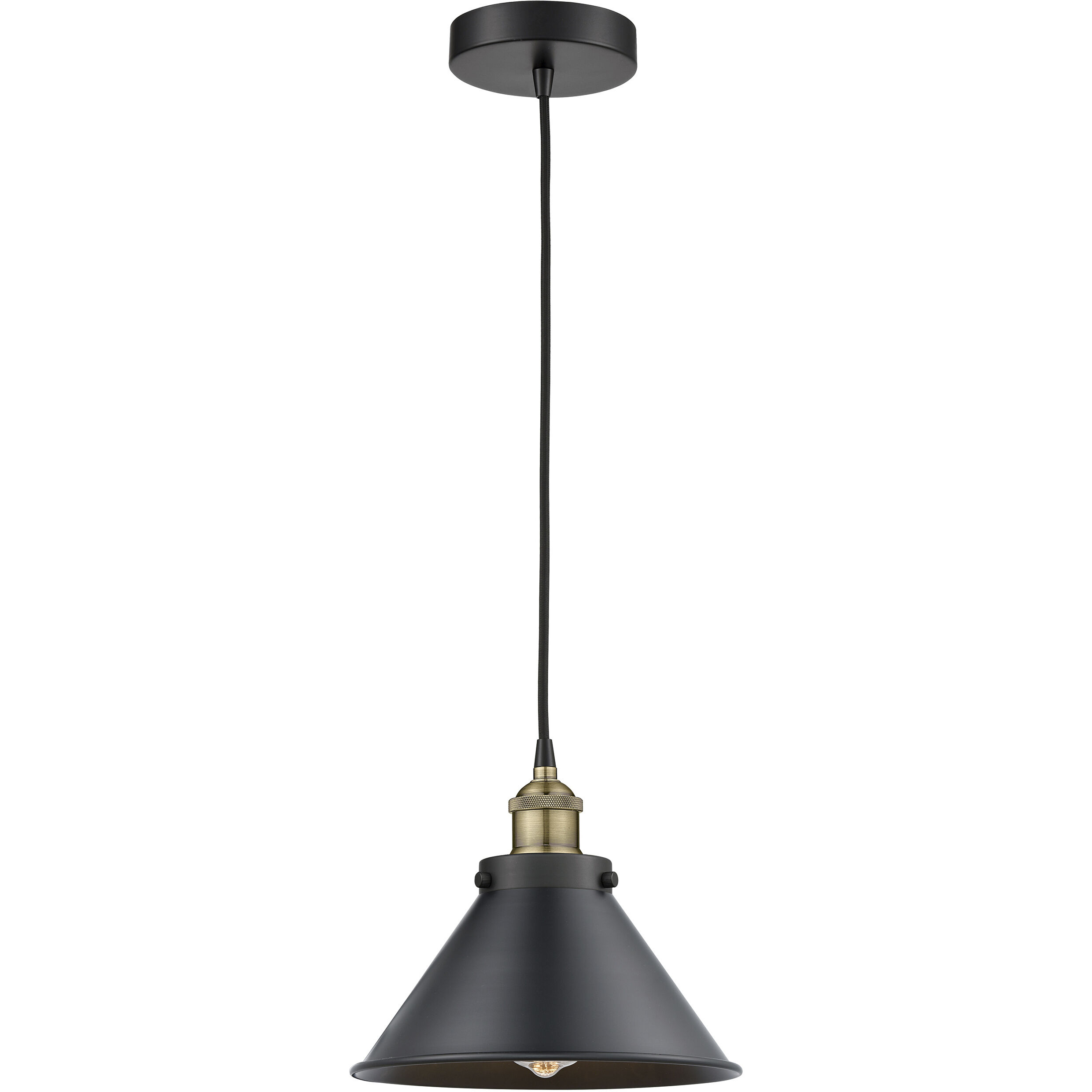 Briarcliff 1 Light 10 inch Black Antique Brass Mini Pendant Ceiling Light in Matte Black