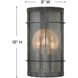 Newport LED 16 inch Aged Zinc Outdoor Wall Mount Lantern, Large