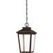 Irvington Manor LED 8.5 inch Chelesa Bronze Outdoor Chain Hung Lantern in Clear Seeded Glass, The Great Outdoors