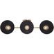 Shepard Vanity Wall Light in Matte Black
