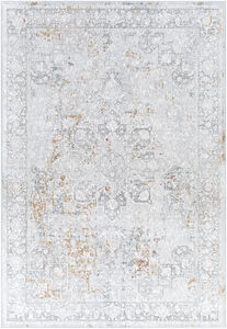 Carmel 36 X 24 inch Taupe Rug in 2 x 3, Rectangle