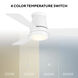 Hug 44 inch Matte White Flush Mount Ceiling Fan