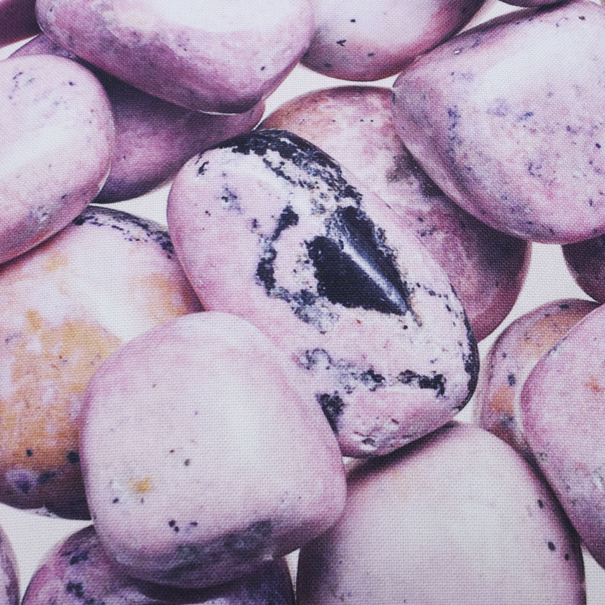 Pebble 24 X 24 inch Pink Pillow