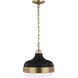 Theron 2 Light 13 inch Dark Antique Brass and Matte Black Pendant Ceiling Light