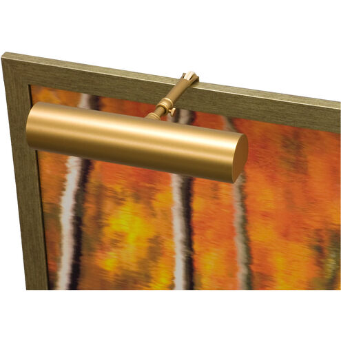 Classic Contemporary 1 Light 9.00 inch Picture Light