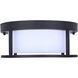 Vero LED 12 inch Black Outdoor Ceiling Lantern