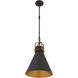 Fenric 1 Light 13.75 inch Dark Bronze and Legacy Brass Pendant Ceiling Light