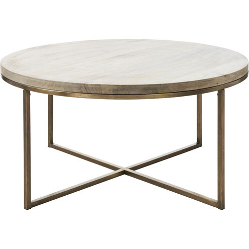 Liana 30 X 15 inch Antique Brass Coffee Table