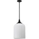 Solara 12 inch Matte Black Pendant Ceiling Light
