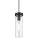 Devoe 1 Light 5.13 inch Black with Brushed Nickel Accent Mini Pendant Ceiling Light