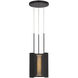 Anne-Marie Barton Armise LED 11 inch Matte Carbon Pendant Ceiling Light