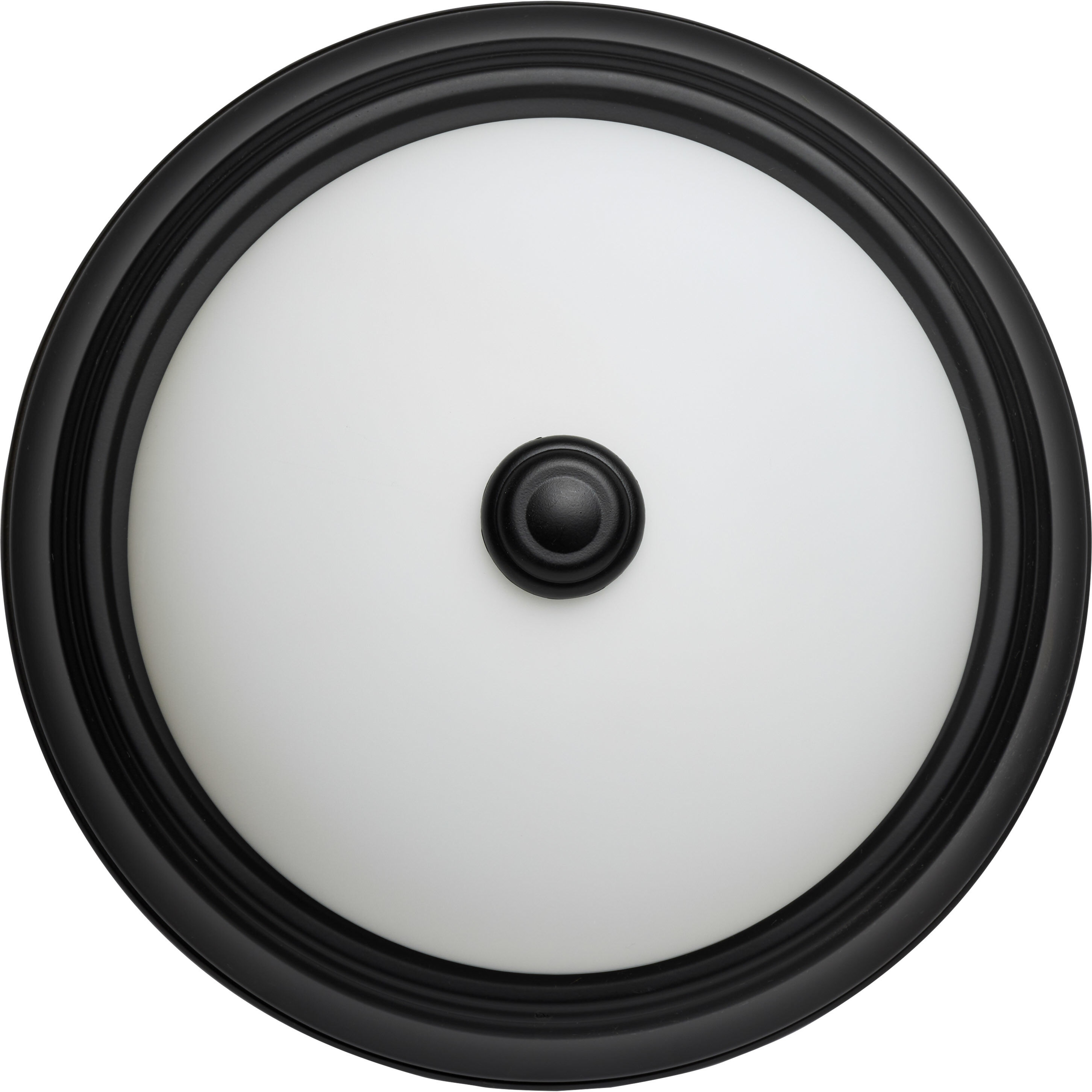 Brentwood 2 Light 11.38 inch Matte Black Flush Mount Ceiling Light