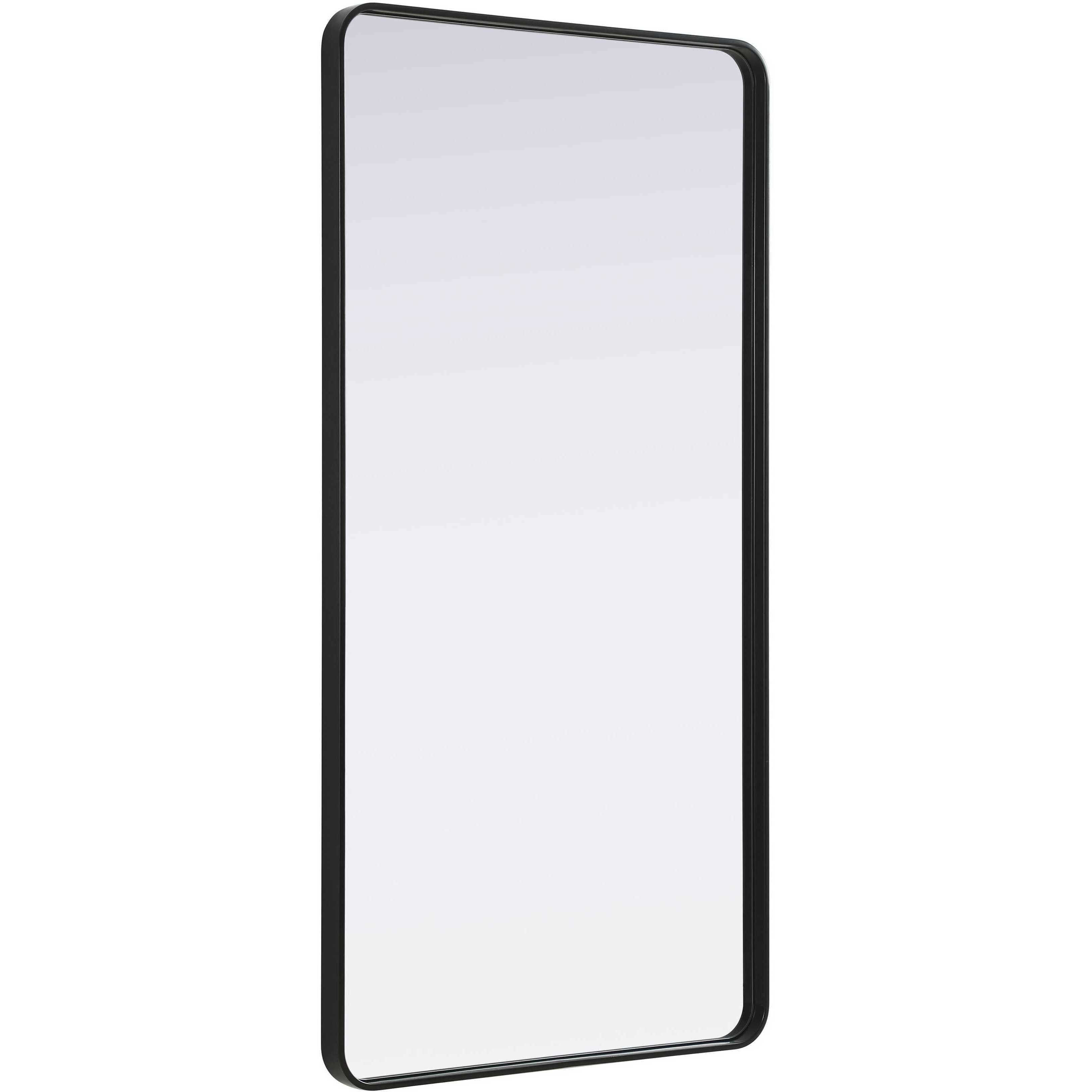 Remy 60 X 30 inch Black Mirror