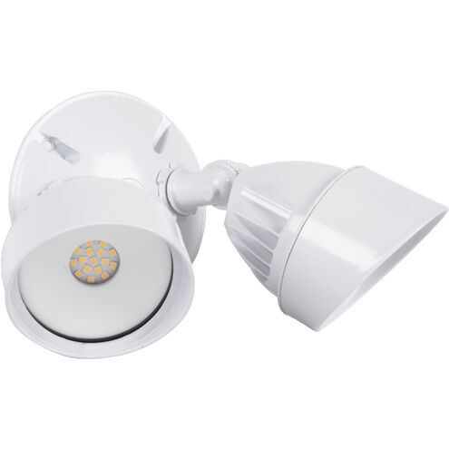 Bejamin LED Midnight Outdoor Flood