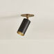 Caleb 1 Light 4.75 inch Patina Brass/Bronze Flush Mount Ceiling Light