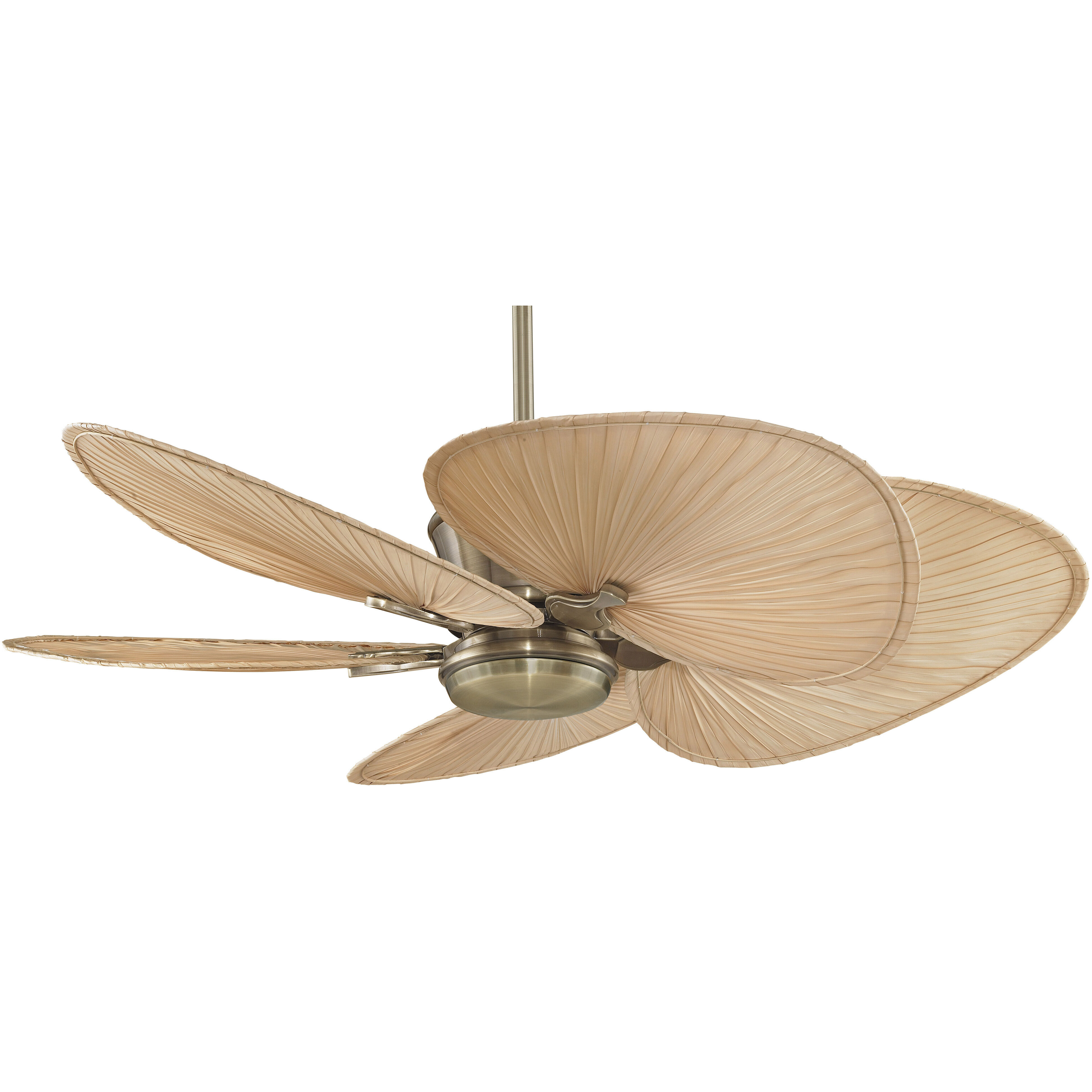 Blades Palm Natural Palm 22 inch Each Fan Blades