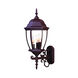 Wexford 3 Light 24 inch Burled Walnut Exterior Wall Mount